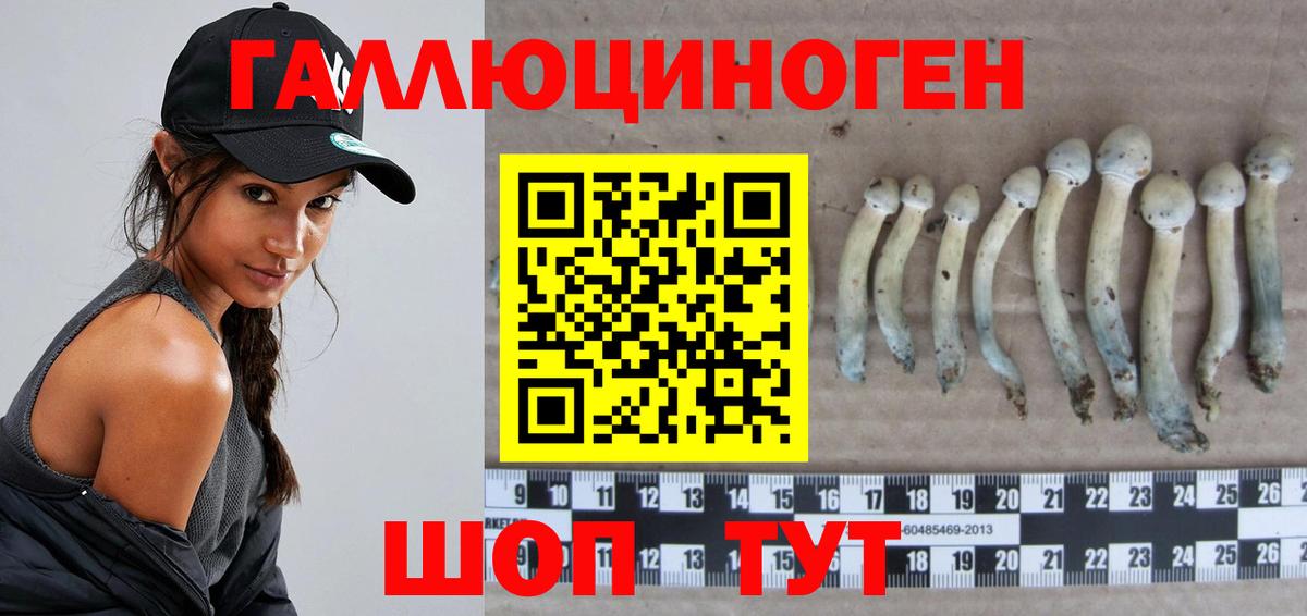 Псилоцибиновые грибы Psilocybe Гагарин
