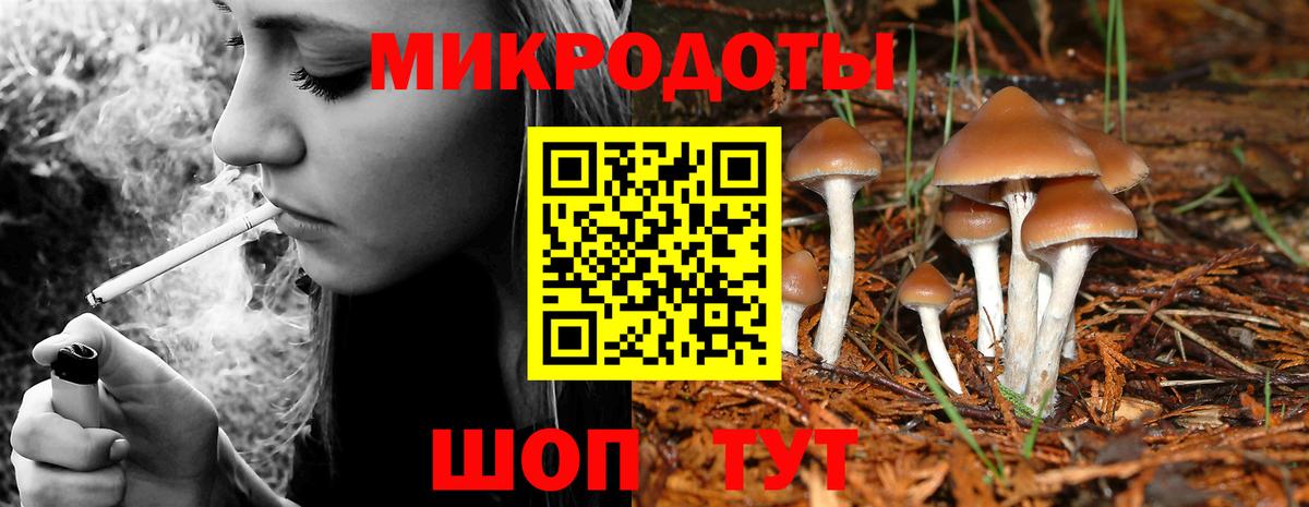 Гагарин  Галлюциногенные грибы MAGIC MUSHROOMS  Вход с VPN 